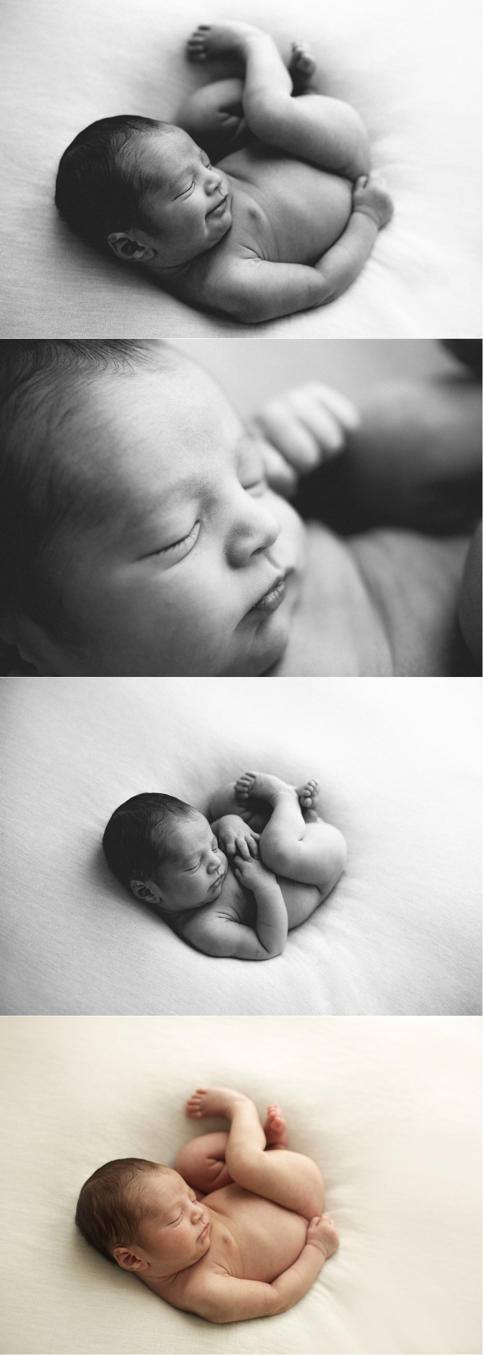 Francesca DB Photography
