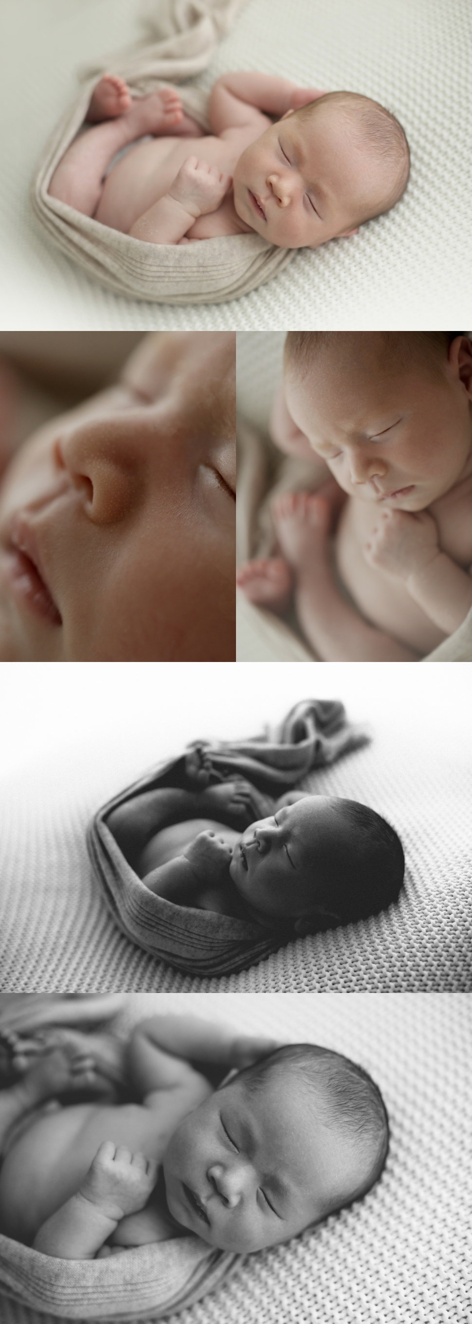 Francesca DB Photography