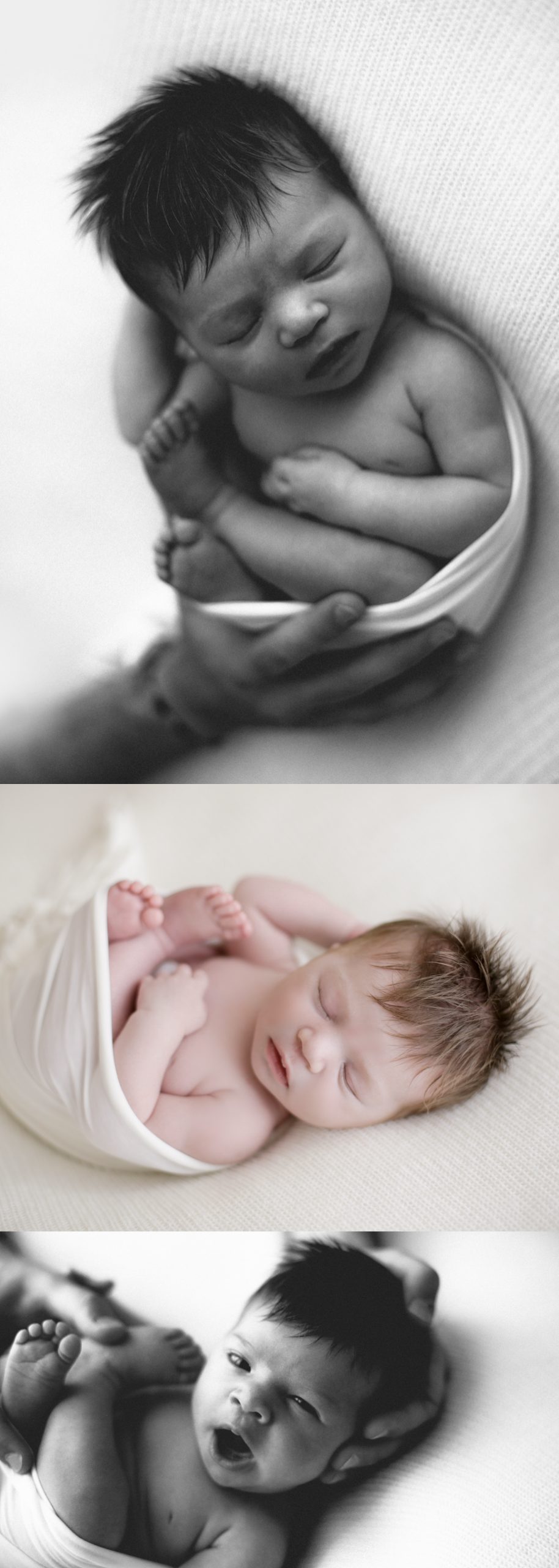 Francesca DB Photography